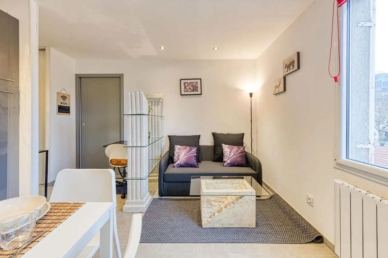 Lägenhet Le Petit Ideal Confort Gare Netflix Stationnement Proche Et Gratuit Grenoble